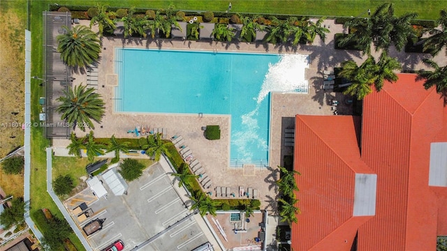 aerial view of a pool