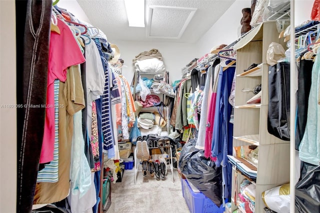 1562 NW 157th Ave, Pembroke Pines, FL 33028 - spacious closet featuring attic access and carpet flooring