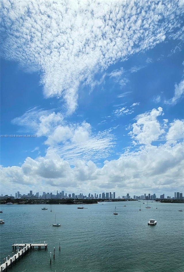 1000 W Ave Unit 715, Miami Beach, FL 33139 - water view with a view of skyline and a dock