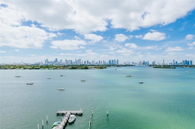 1000 W Ave Unit 715, Miami Beach, FL 33139 - water view featuring a view of skyline