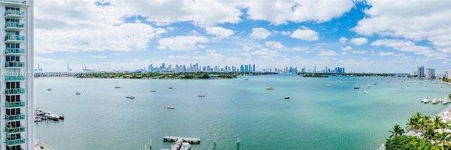 1000 W Ave Unit 715, Miami Beach, FL 33139 - water view with a view of skyline