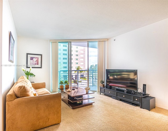 335 S Biscayne Bl Unit 902, Miami, FL 33131 - carpeted living room with a wall of windows