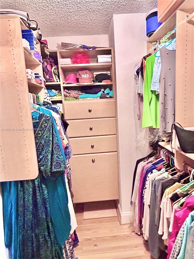 600 Three Islands Blvd Unit 905, Hallandale Beach, FL 33009 - spacious closet featuring light wood-style flooring