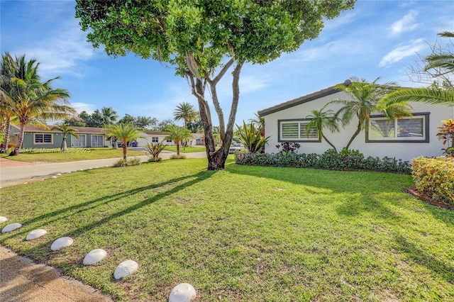 7011 Raleigh St, Hollywood, FL 33024 - view of green lawn