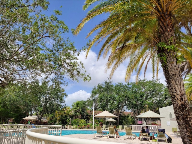 11413 SW 112th St, Miami, FL 33176 - photo 4