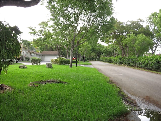 11413 SW 112th St, Miami, FL 33176 - photo 53