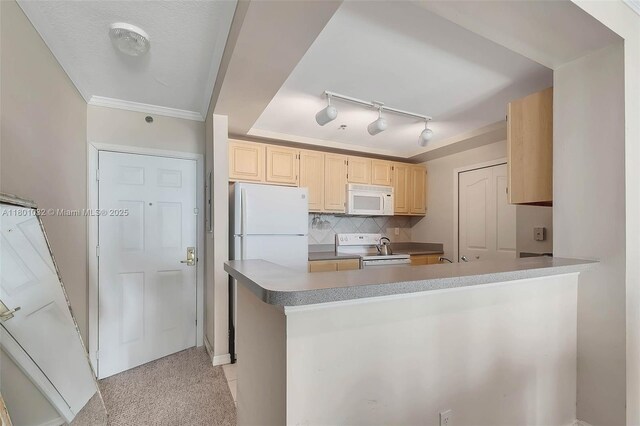2665 SW 37th Ave Unit 1508, Miami, FL 33133 - kitchen featuring white appliances, rail lighting, light brown cabinetry, backsplash, and light colored carpet