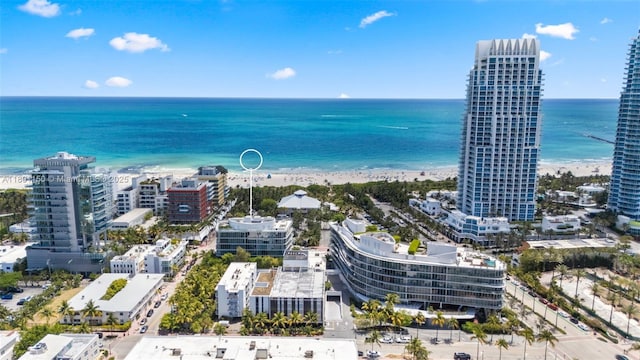 drone / aerial view of unending shoreline