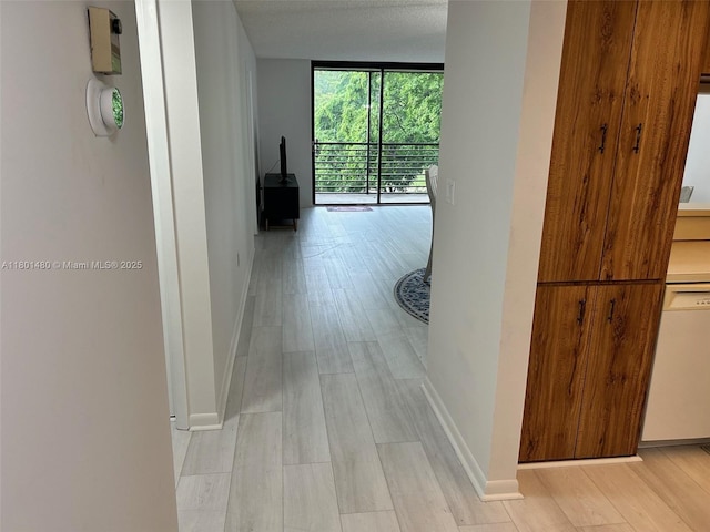 1000 Colony Point Cir Unit 302, Pembroke Pines, FL 33026 - hall with light wood-type flooring, baseboards, and a wall of windows