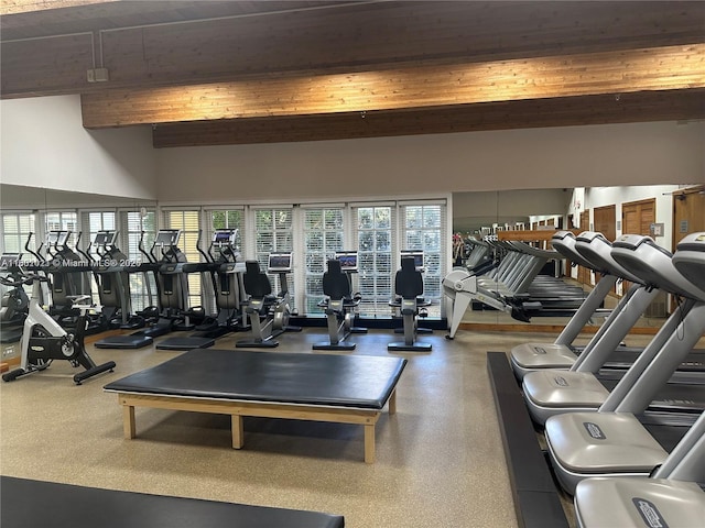 1530 NE Quayside Ter Unit A1, Miami, FL 33138 - gym with beamed ceiling