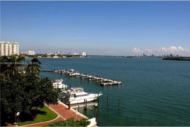 1530 NE Quayside Ter Unit A1, Miami, FL 33138 - water view featuring a boat dock