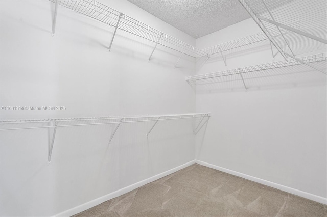 530 S Park Rd Unit 23-11, Hollywood, FL 33021 - photo 23