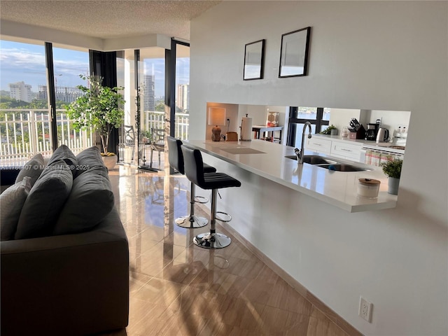 4000 NE Towwerside Ter Unit 1101, Miami, FL 33138 - kitchen featuring a sink, open floor plan, a view of city, a kitchen bar, and floor to ceiling windows