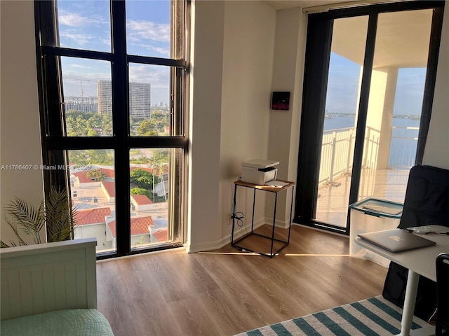 4000 NE Towwerside Ter Unit 1101, Miami, FL 33138 - entryway with expansive windows, wood finished floors, and baseboards