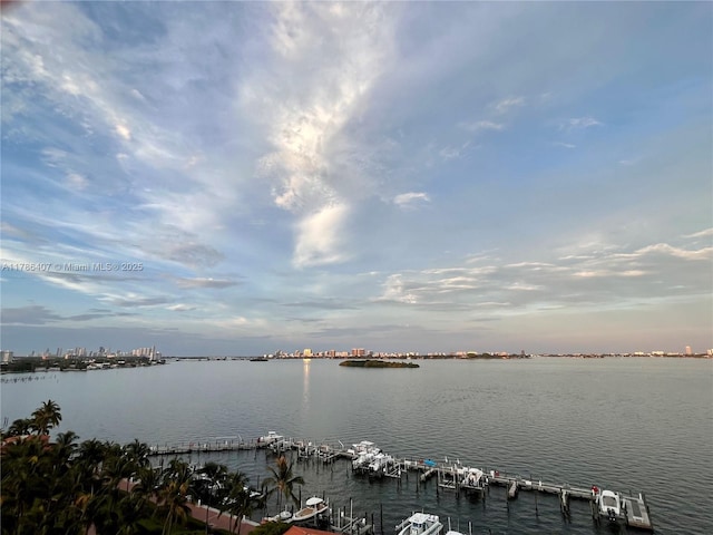 4000 NE Towwerside Ter Unit 1101, Miami, FL 33138 - water view