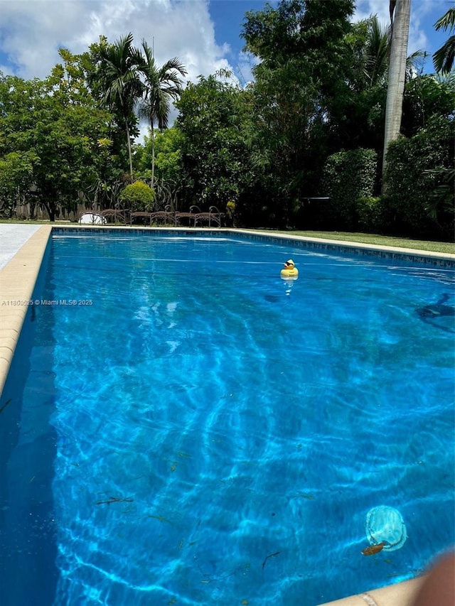 13135 SW 218th Ter, Miami, FL 33170 - view of swimming pool