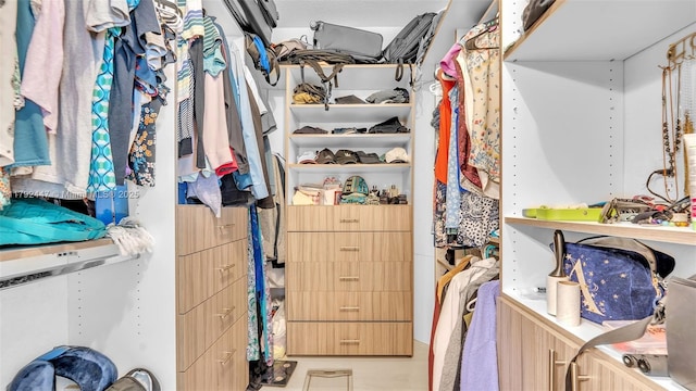 view of walk in closet
