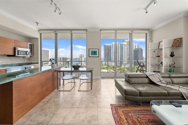 3470 E Coast Ave Unit H1909, Miami, FL 33137 - living room with rail lighting, floor to ceiling windows, a view of skyline, healthy amount of natural light, and ornamental molding