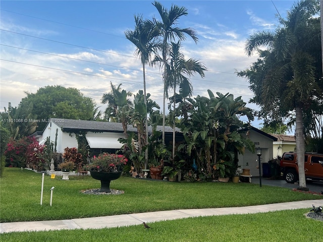 view of property hidden behind natural elements featuring a front lawn