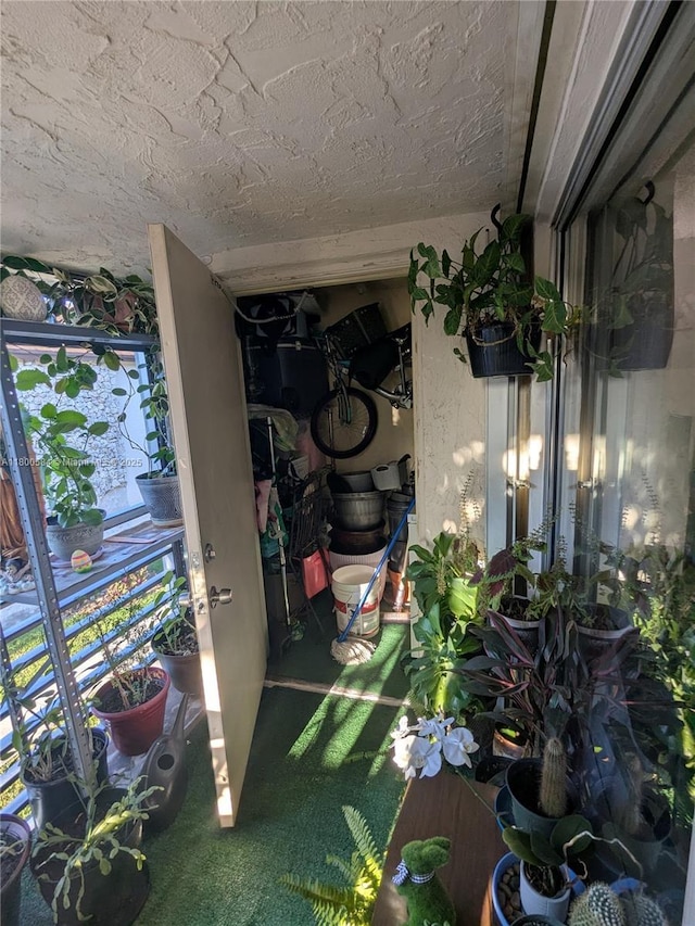 exterior space