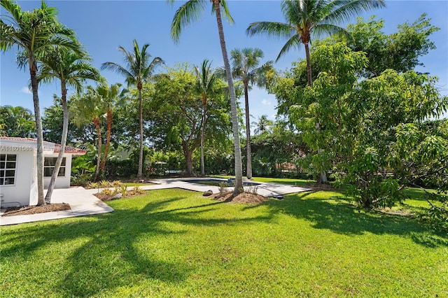 view of grassy yard