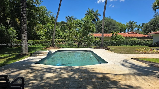 8700 SW 64th Ave, Pinecrest, FL 33156 - view of swimming pool with a patio and a lawn