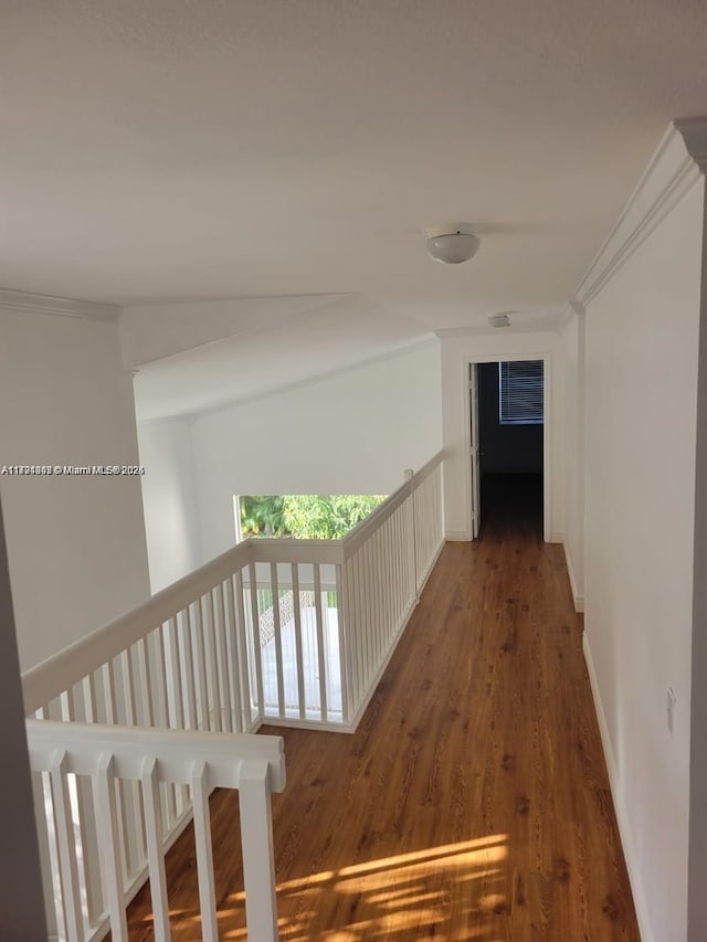 8021 Stirrup Cay Ct, Boynton Beach, FL 33436 - corridor featuring wood finished floors, crown molding, and an upstairs landing