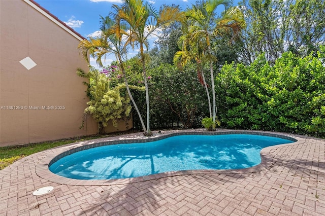 5832 NW 120th Ave, Coral Springs, FL 33076 - outdoor pool with a patio area