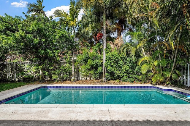 782 Lake Blvd, Weston, FL 33326 - swimming pool with a fenced backyard and view of scattered trees