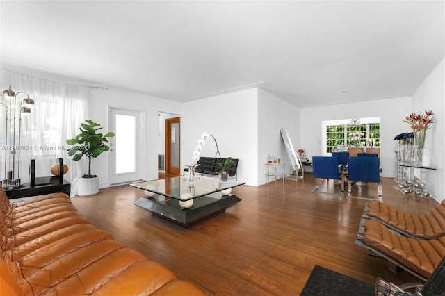 650 NE 60th St, Miami, FL 33137 - living room featuring wood finished floors