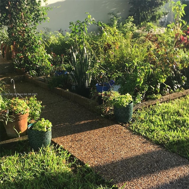 327 SE 2nd Ave, Dania Beach, FL 33004 - view of yard