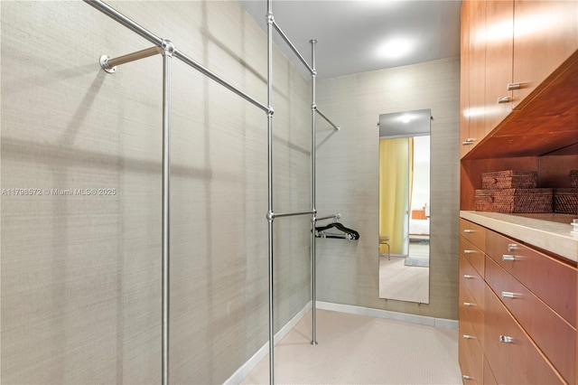 19667 Turnberry Way Unit 27-K, Aventura, FL 33180 - view of walk in closet