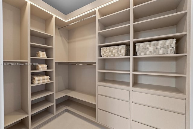 view of walk in closet