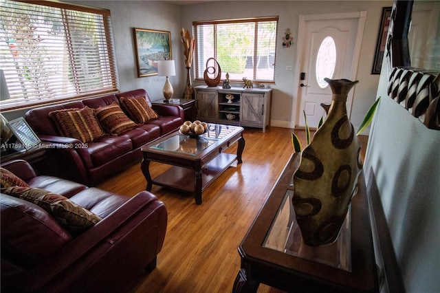 1205 SW 76th Ave, Miami, FL 33144 - living room featuring light wood-type flooring and baseboards