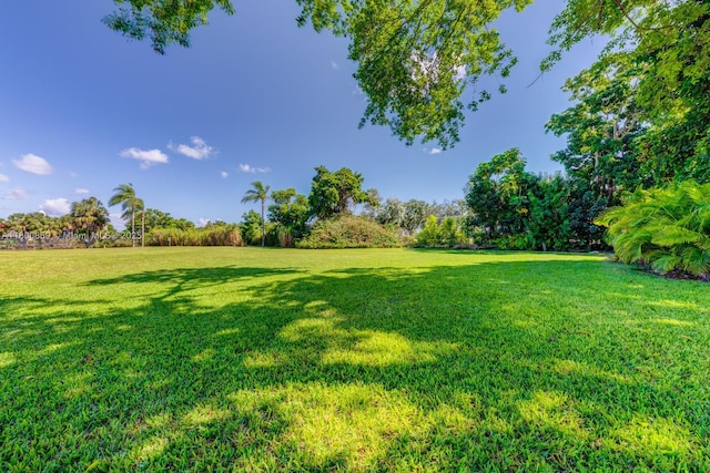view of green lawn