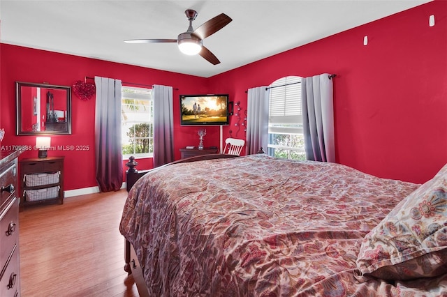 bedroom with multiple windows, wood finished floors, ceiling fan, and baseboards