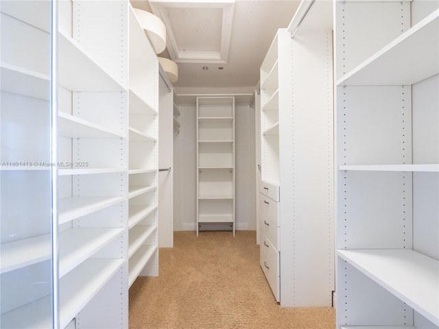 5087 SW 183rd Ave, Miramar, FL 33029 - walk in closet with light carpet and attic access