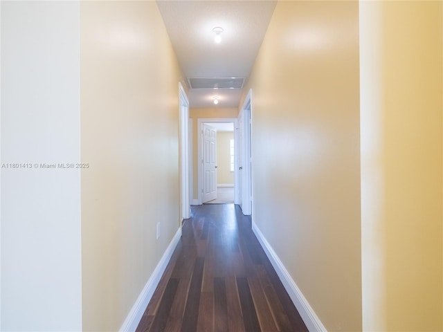 5087 SW 183rd Ave, Miramar, FL 33029 - corridor with dark wood-style flooring and baseboards