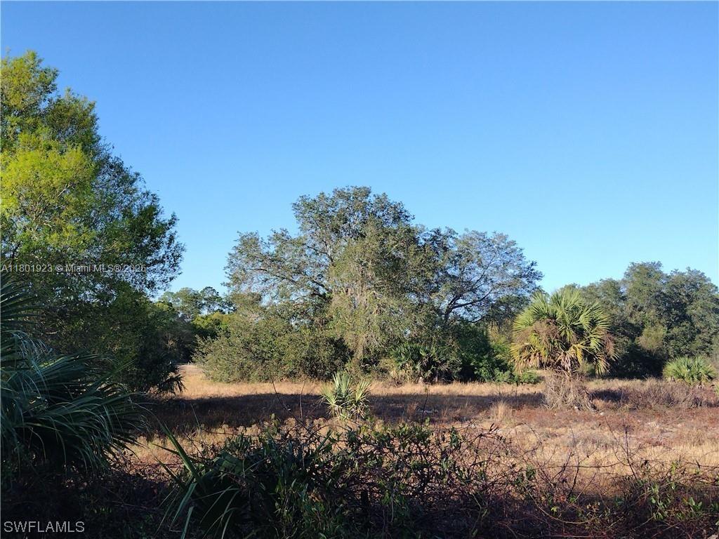 230 S Arboleda St, Clewiston, FL 33440 - photo 3
