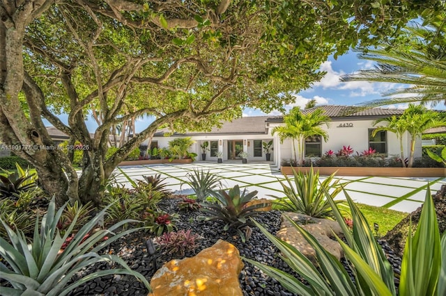 4430 Casper Ct, Hollywood, FL 33021 - view of front of property featuring stucco siding