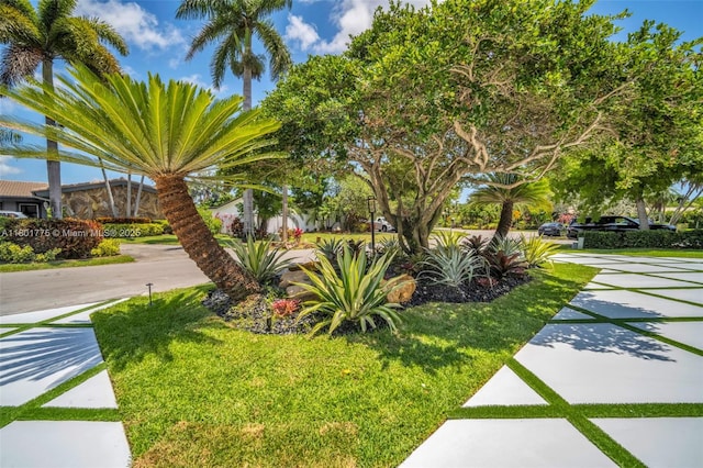4430 Casper Ct, Hollywood, FL 33021 - view of grassy yard