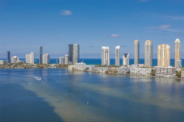 2600 Island Blvd Unit 2603, Aventura, FL 33160 - water view with a skyline view