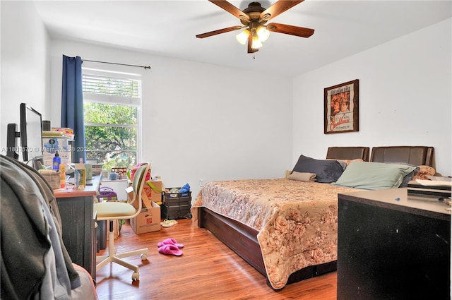 16750 NE 10th Ave Unit 314, North Miami Beach, FL 33162 - bedroom with wood finished floors and ceiling fan