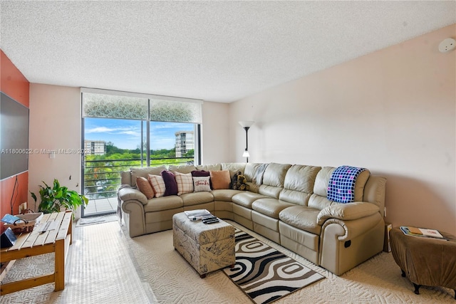 1100 Saint Charles Pl Unit 407, Pembroke Pines, FL 33026 - living area featuring expansive windows, a textured ceiling, and carpet
