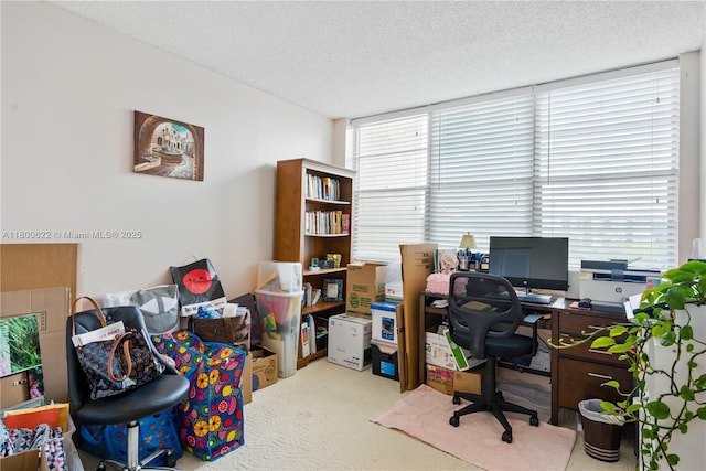 1100 Saint Charles Pl Unit 407, Pembroke Pines, FL 33026 - office area featuring carpet flooring and a textured ceiling