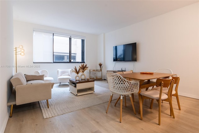living area with light wood-style floors