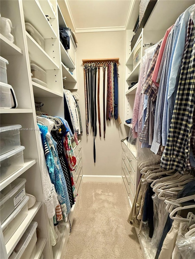 16518 NE 26th Ave Unit 405, North Miami Beach, FL 33160 - spacious closet featuring carpet flooring