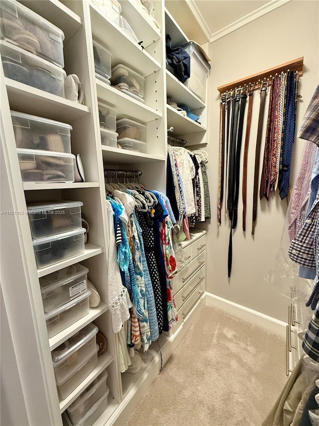 16518 NE 26th Ave Unit 405, North Miami Beach, FL 33160 - spacious closet with carpet flooring