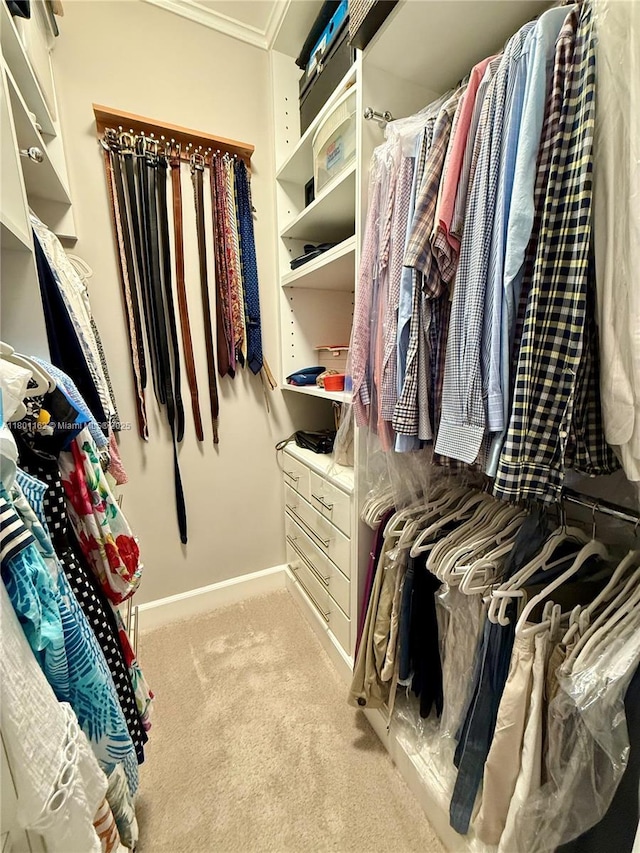 16518 NE 26th Ave Unit 405, North Miami Beach, FL 33160 - walk in closet featuring carpet flooring