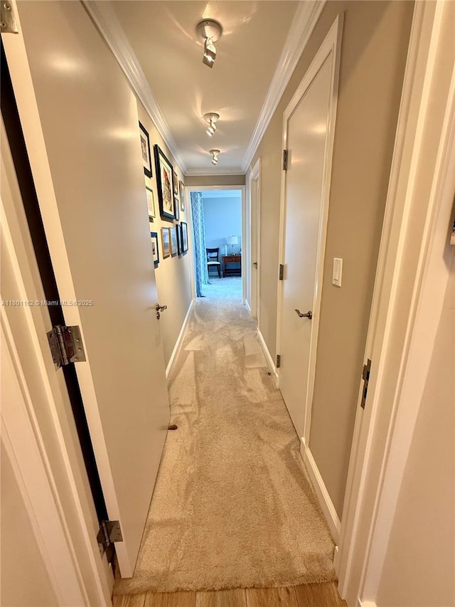 16518 NE 26th Ave Unit 405, North Miami Beach, FL 33160 - hallway with crown molding, light colored carpet, and baseboards